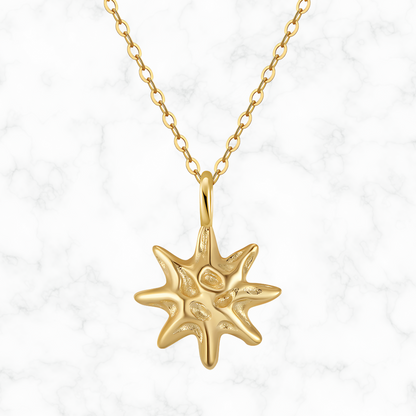Ster ketting