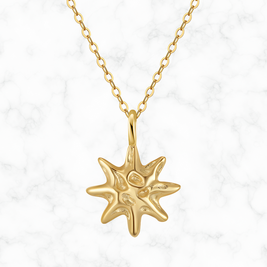 Ster ketting