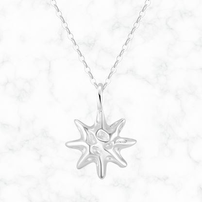Ster ketting
